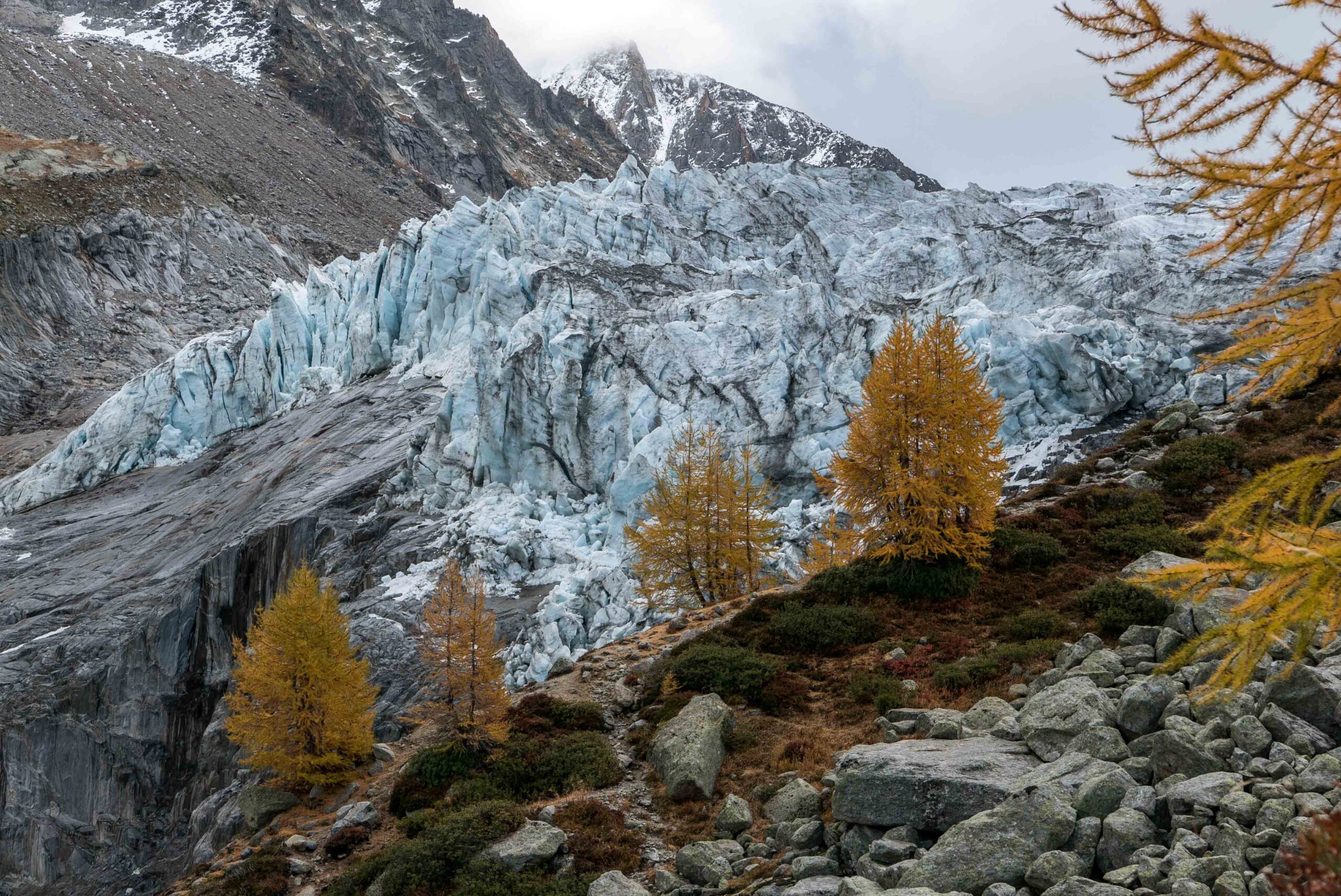 Glacier d'Argentière.