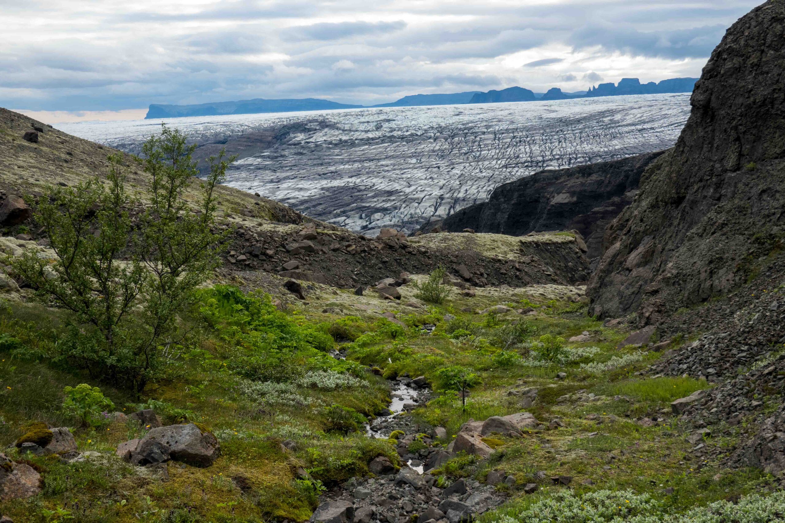 Dal van de Langagil met de Skeiðarárjökull op de achtergrond, juni 2023.