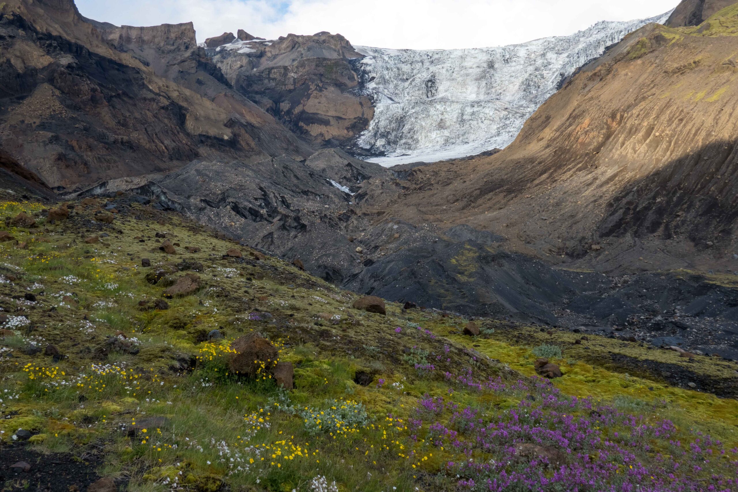 Krossárjökull vanaf de flank van Eggjar, juli 2023.