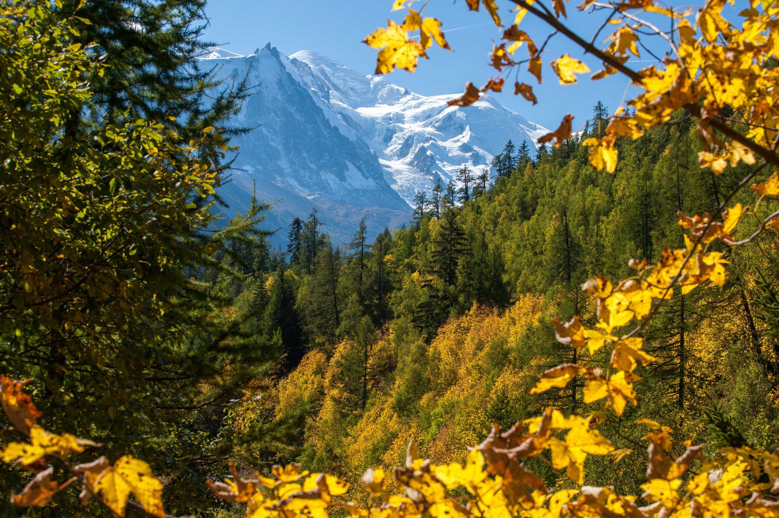 Mont Blanc in de herfst.