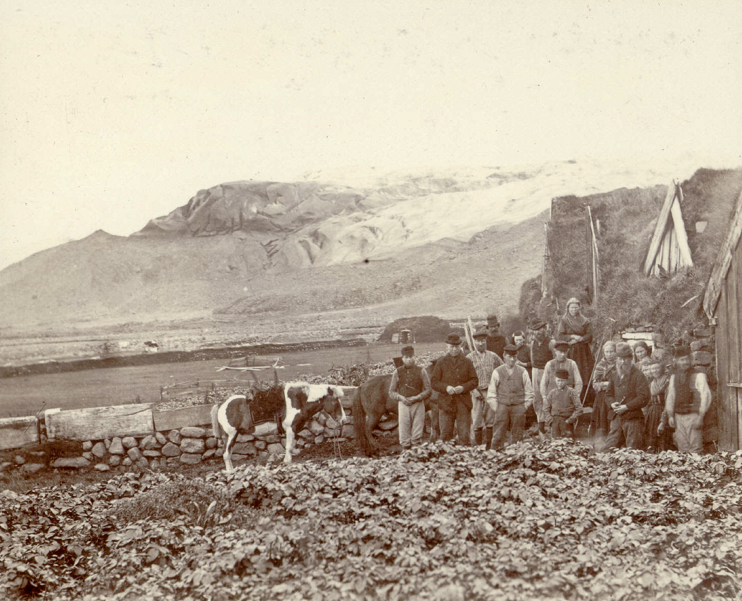 Boeren van het gehucht Svínafell met de dikke gletsjer op de achtergrond, circa 1900. Fotograaf: Frederick Howell, Collectie Cornell University.