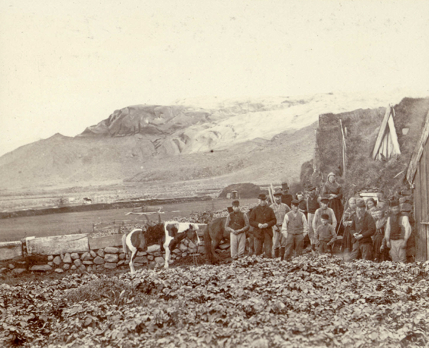 Farmers of Svínafell with Svínafellsjökull on top of its moraine, circa 1900. Photographer: Frederick Howell, Fiske Collection Cornell University.