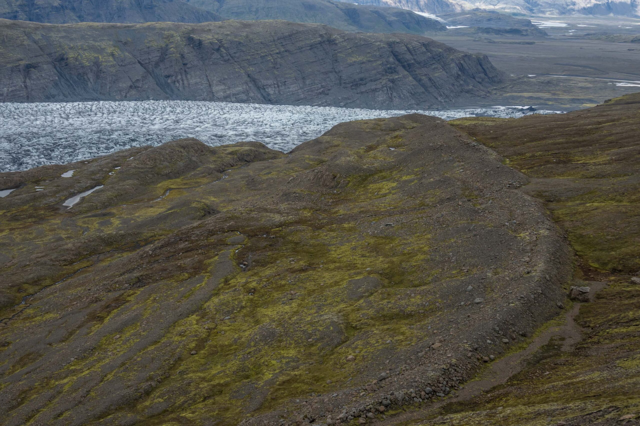 Outermost lateral moraine to the south of Skálafellsjökull, dating from ca. 1890.