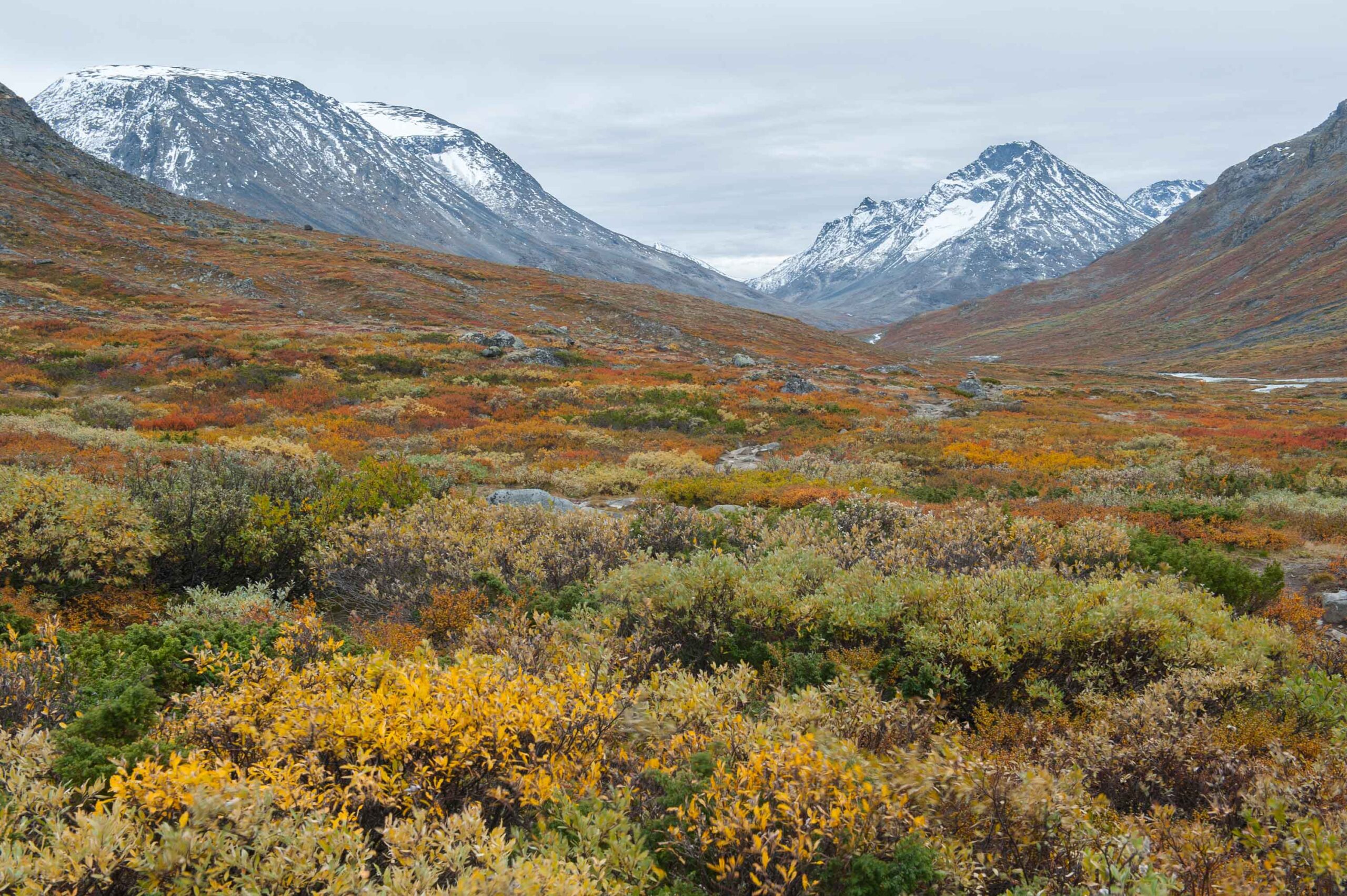 Het Visdalen in Jotunheimen.