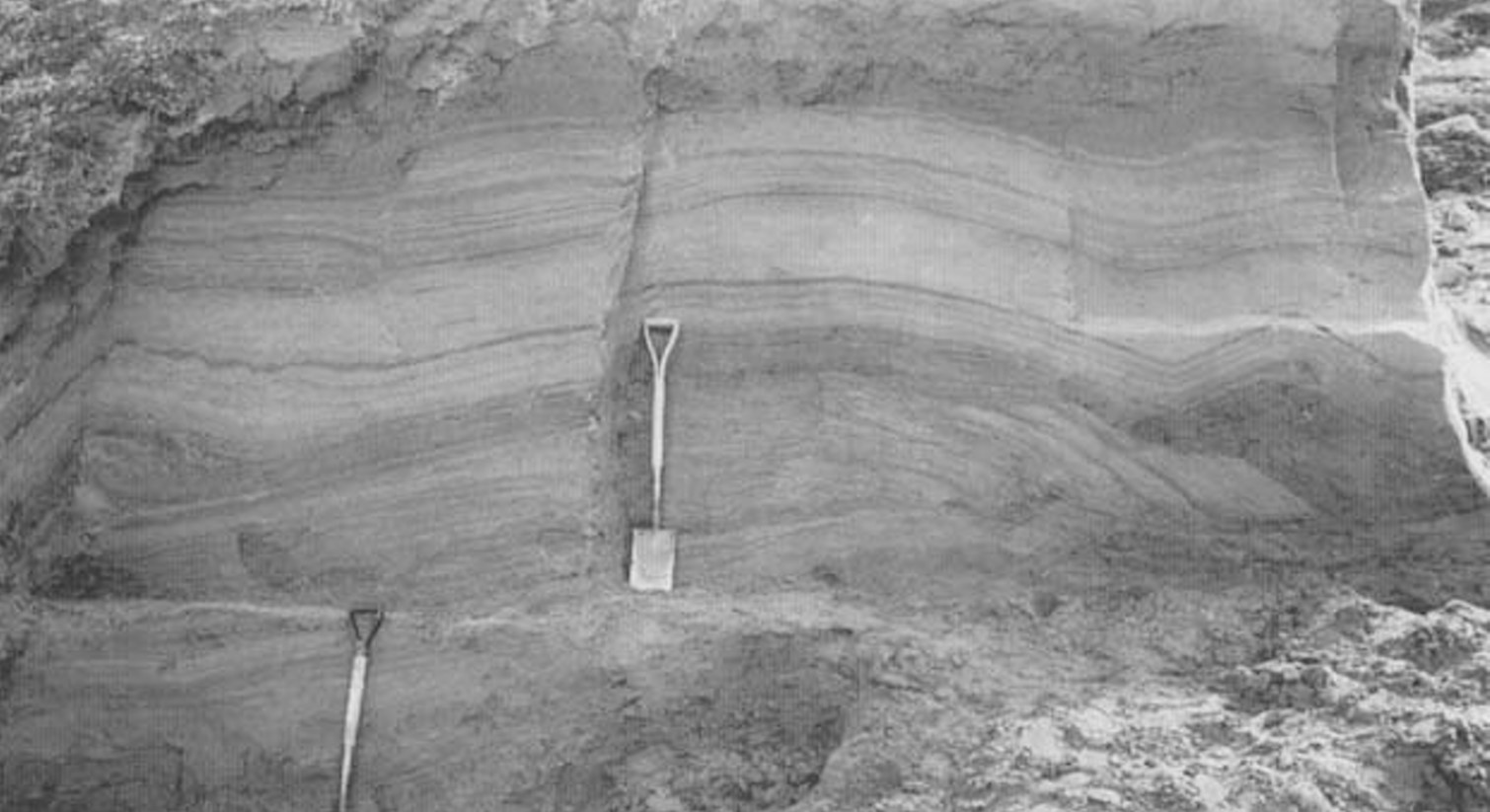 Hundreds of fine layers of sediment make up the lake floor. Source: Donnelly & Harris, 1989.