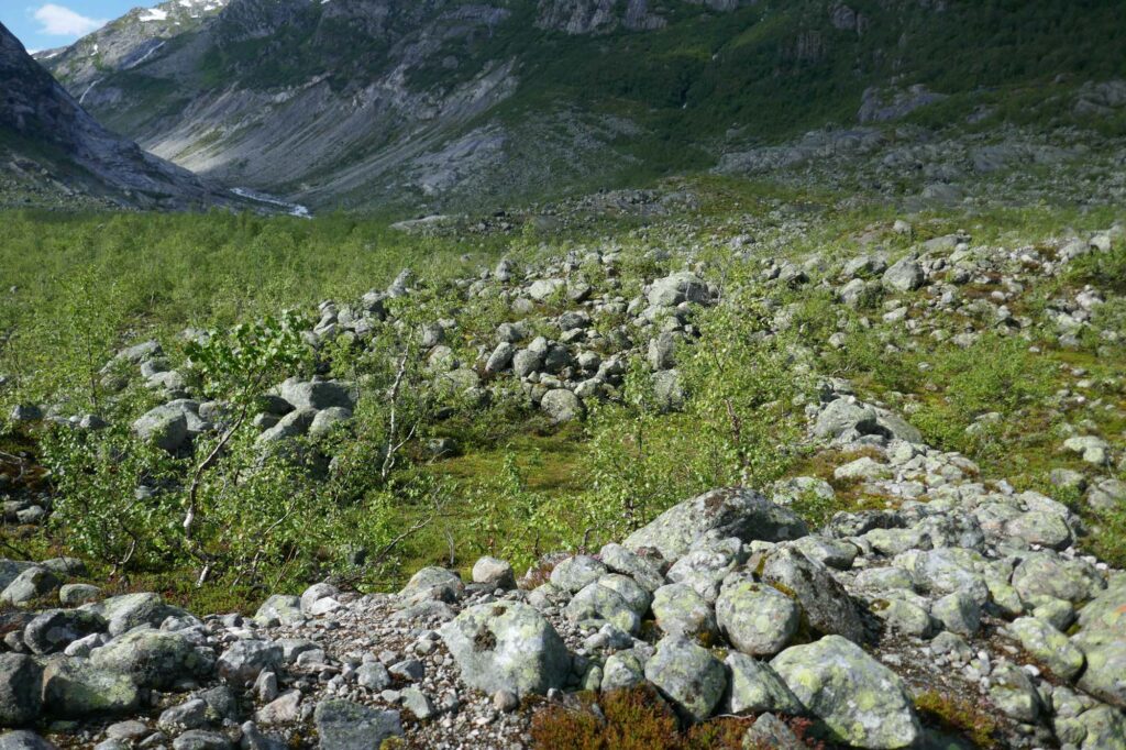 Fåbergstølsdalen is littered with boulder-rich moraine ridges.