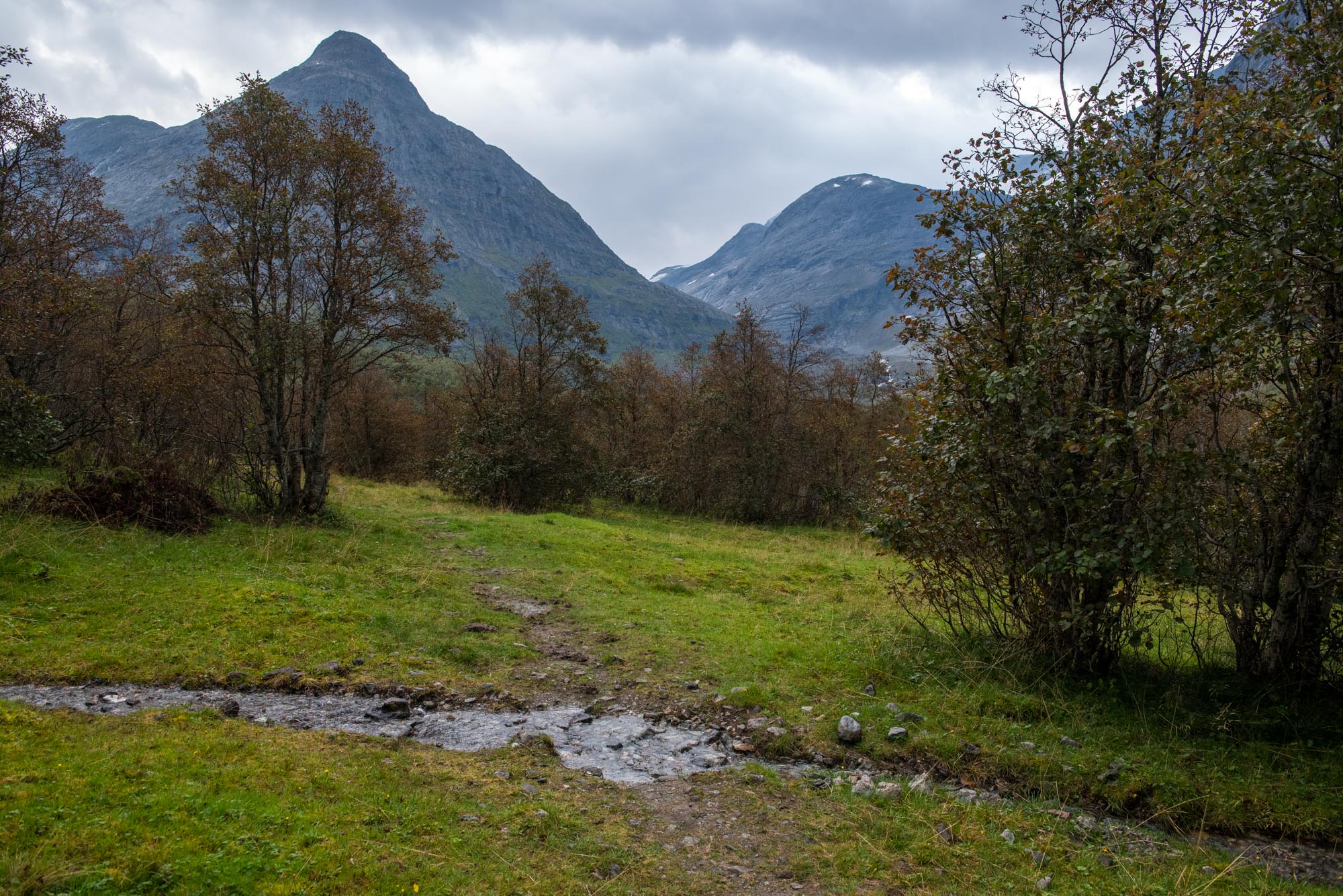 Grazed woodland in Erdalen.