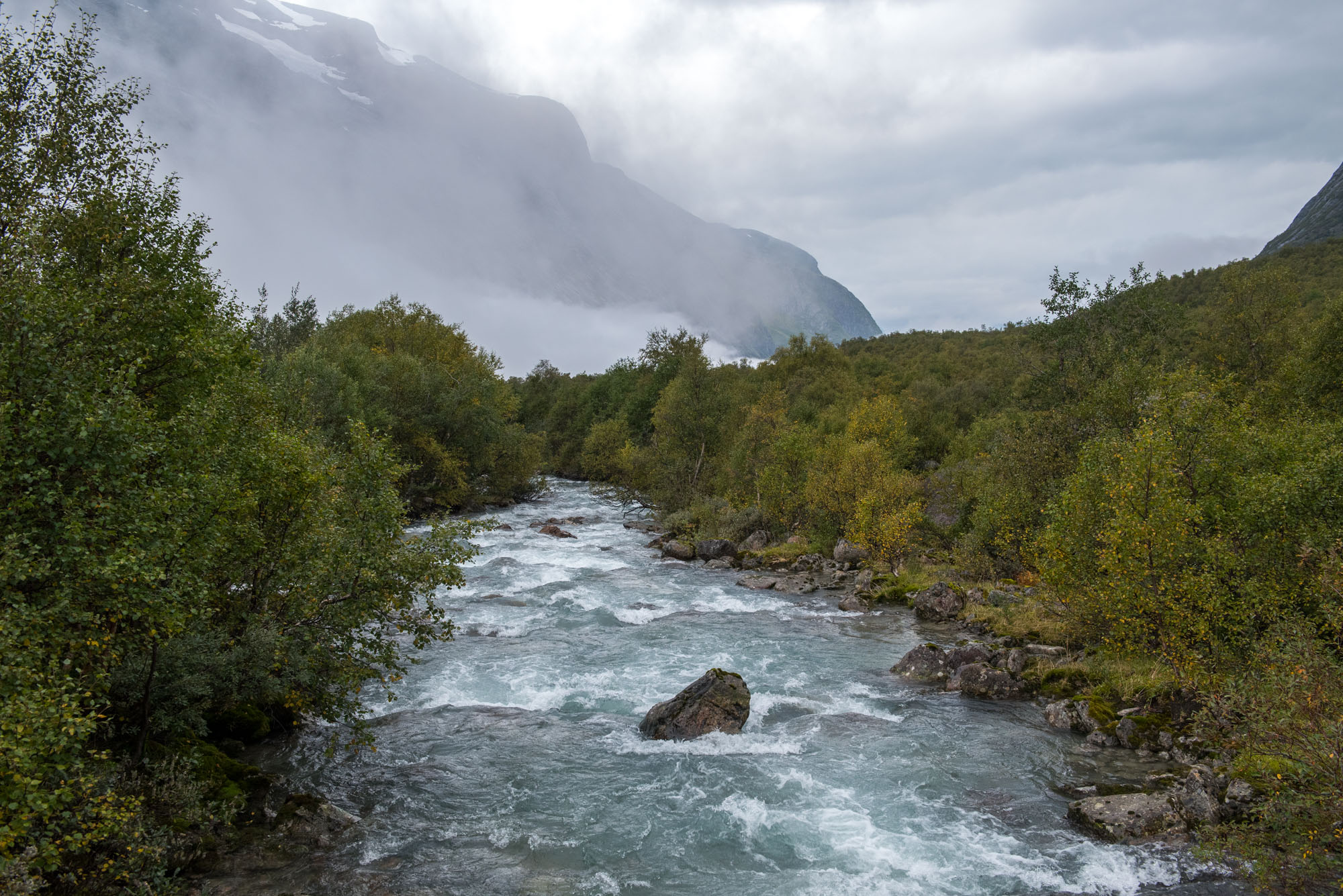 The 10,000 years old moraine is hidden in the forest.