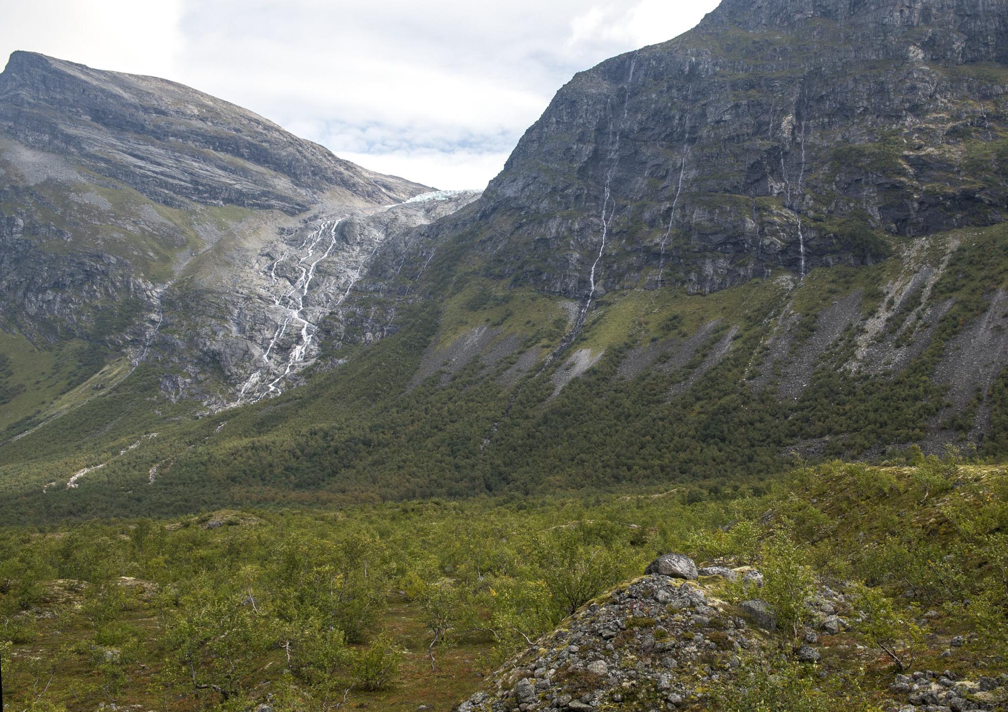 Bødalsbreen in 2024.