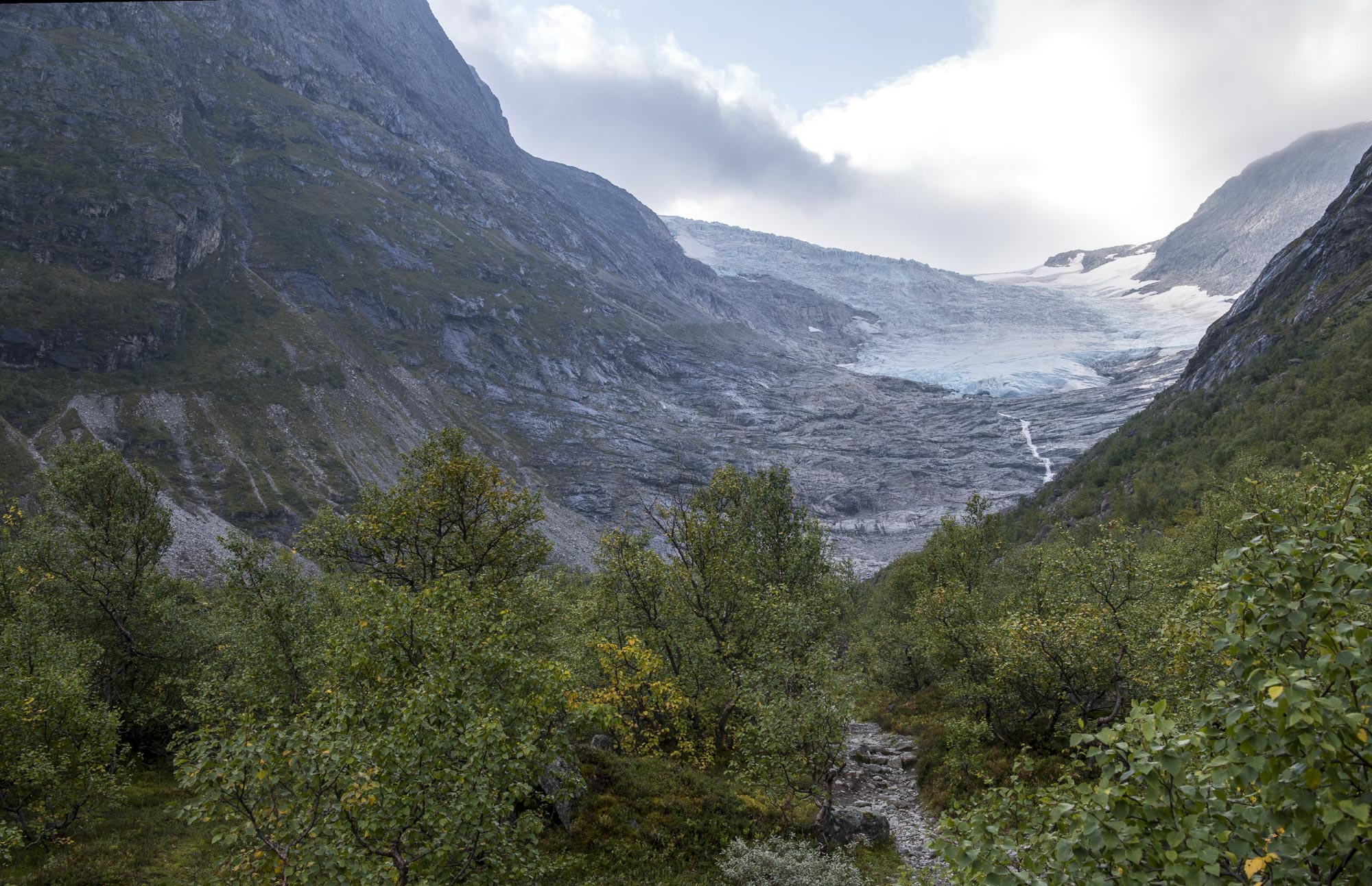 Bødalsbreen in 2024.