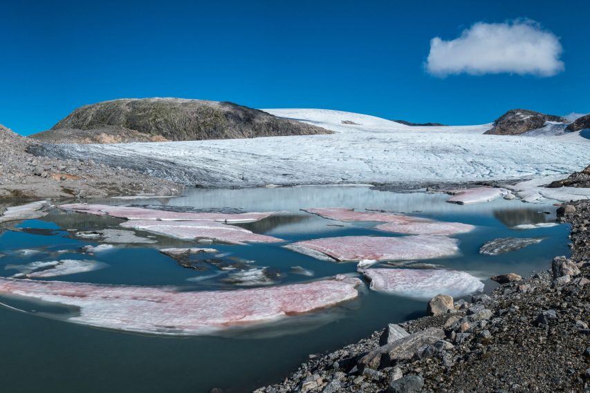 The snout of Marabreen terminates in a lake, August 2021.