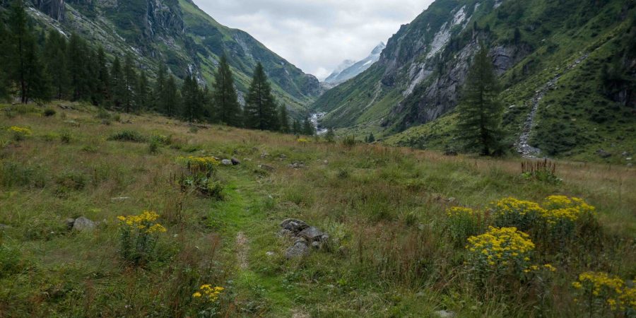 Untersulzbachtal, July 2022.