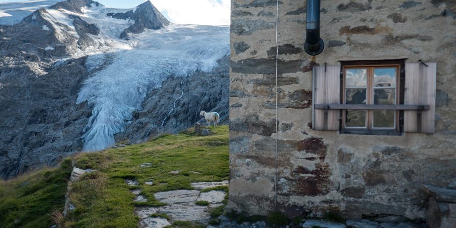 De Alte Pragerhütte kijkt uit op de Schlatenkees.