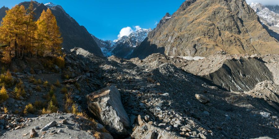 Glacier Du Miage met bomen op de zijmorene, oktober 2022.