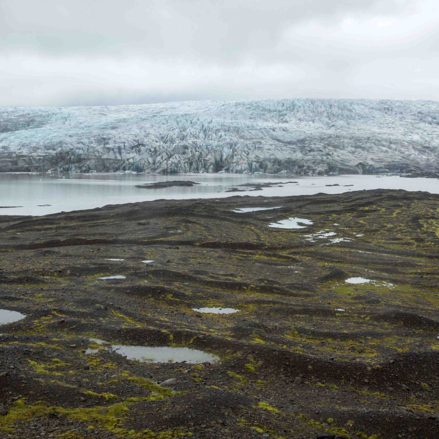 Fláajökull (oost) met recessiemorenes op de voorgrond gezien vanaf de ±1990-morene, juni 2023.