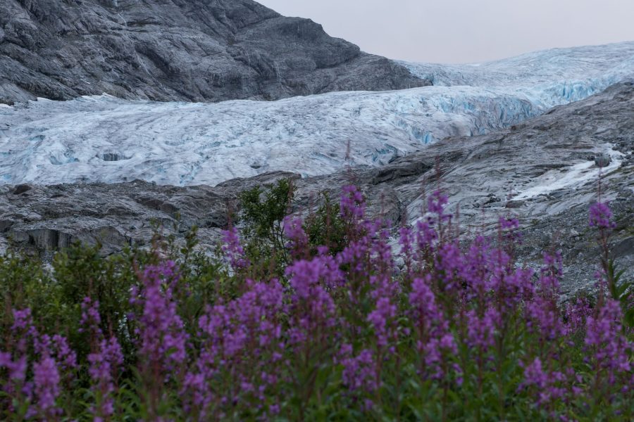 Fåbergstølsbreen