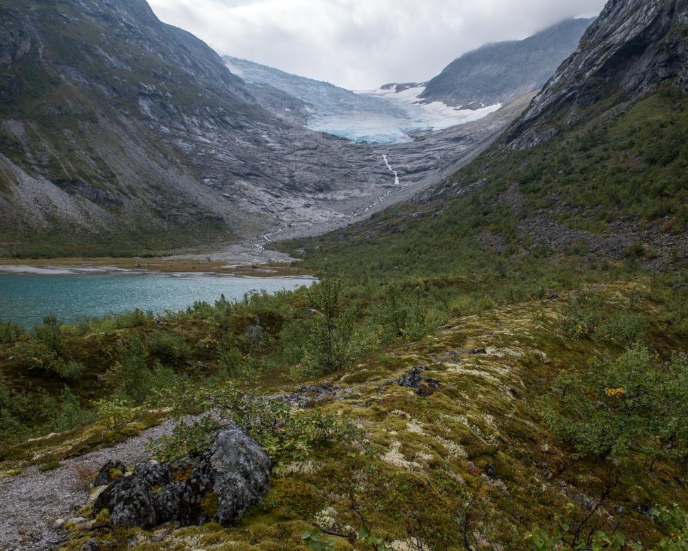 Uitzicht vanaf een van de zeven zaagtandmorenes (in deze uit 1914) op de Bødalsbreen.