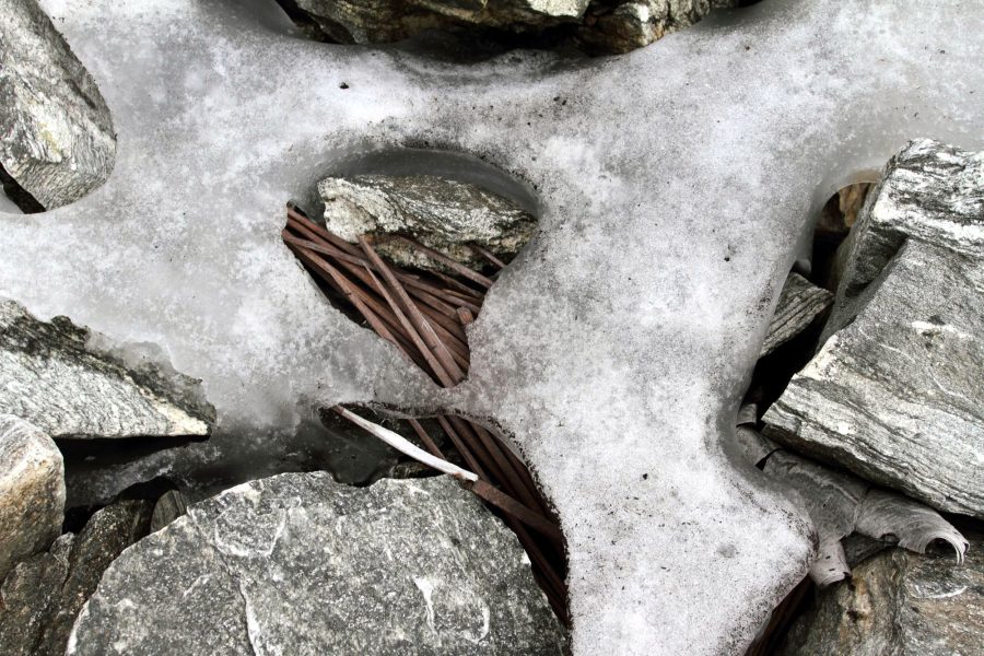 Een bundel schrikstokken komt onder het smeltende ijs van de Åndfonne tevoorschijn, 16 km ten noorden van Juvfonne. Bron: Secrets of the Ice.